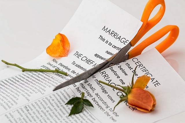 Certificado de Matrimonio con Inscripciones